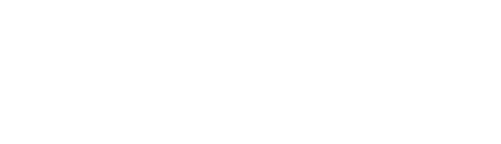 IDECSI